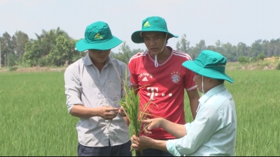 Tiến tới kiến thức vàng 20-05-2016