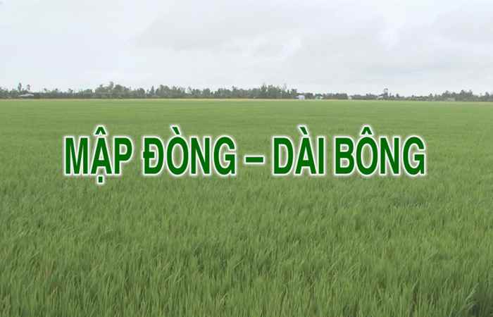 Tiến tới kiến thức vàng 20-07-2018
