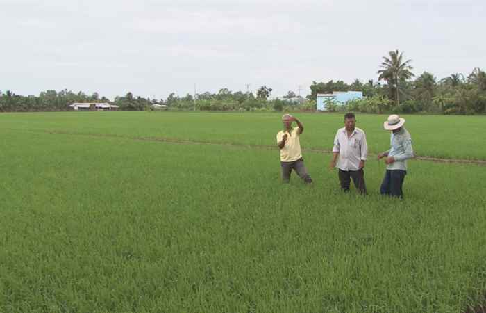 Tiến tới kiến thức vàng 21-06-2019
