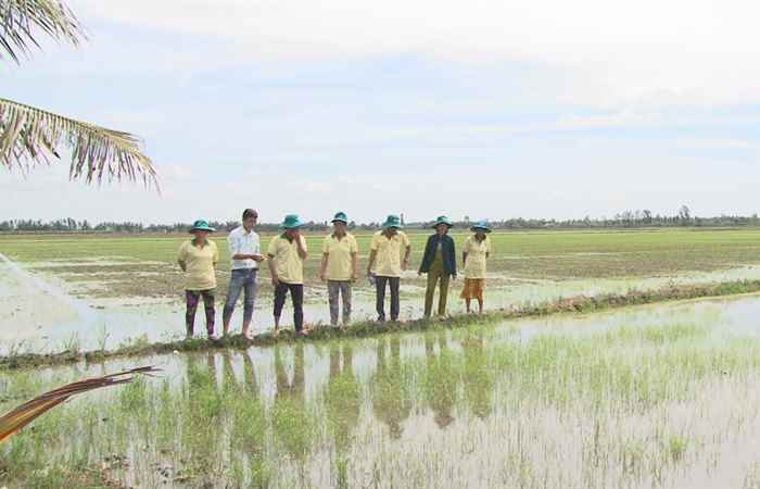 Tiến tới kiến thức vàng 31-05-2019