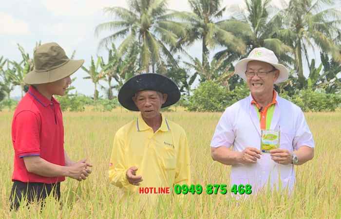Tiếp sức cùng nông dân - VFC Cánh đồng hội nhập (14-05-2021)