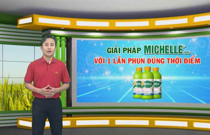 Tiếp sức cùng nông dân - VFC Cánh đồng hội nhập (15-10-2021)