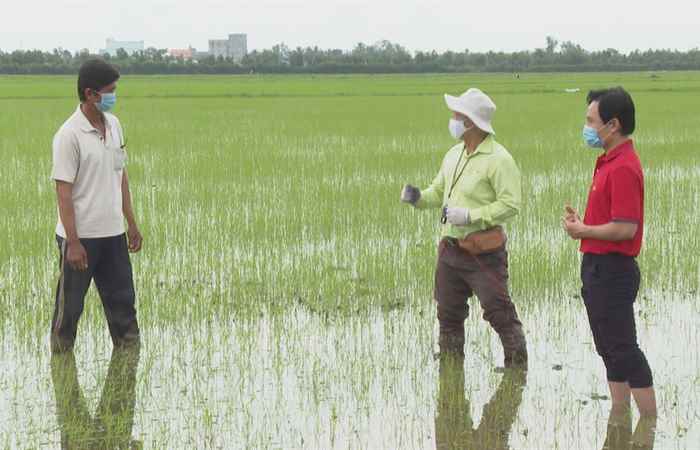 Tiếp sức cùng nông dân - VFC Cánh đồng hội nhập (22-10-2021)