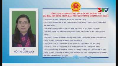 Tiểu sử tóm tắt & chương trình hành động của những người ứng cử đại biểu HĐND tỉnh nhiệm kỳ 2016-2021 ở đơn vị bầu cử số 6