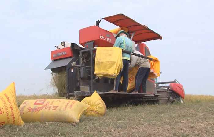 Huyện Mỹ Xuyên hoàn thành 70 công trình thủy lợi