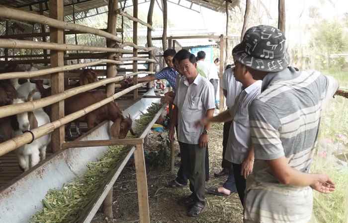 Huyện Mỹ Tú đã xuống giống được 20.910 ha lúa Hè Thu