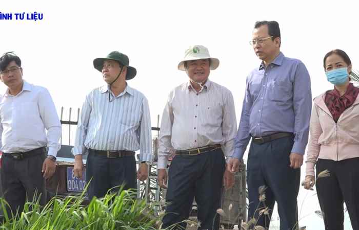 Long Phú sản lượng lúa đạt 207.259 tấn