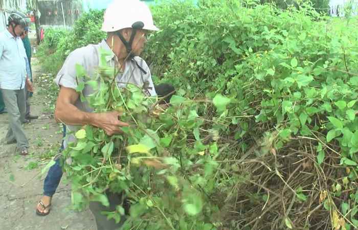 Hội Cựu Chiến binh TX. Vĩnh Châu - Dấu ấn một nhiệm kỳ 