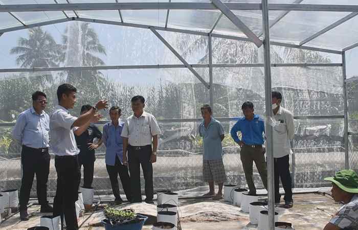 Châu Thành: Hội Nông dân tỉnh tập huấn kỹ thuật trồng Dưa lưới theo hướng hữu cơ