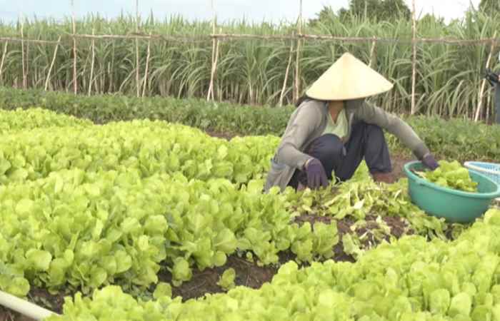  Hội LHPN Cù Lao Dung sơ kết công tác 6 tháng năm 2023