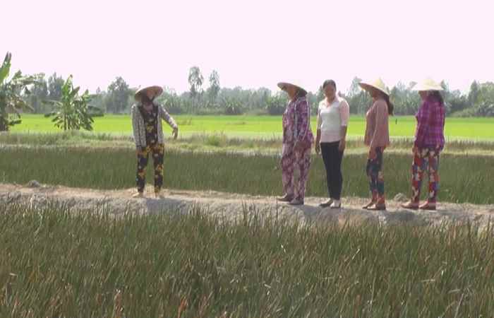 Thạnh Trị: Hội Liên hiệp Phụ nữ triển khai nhiệm vụ quý II-2022