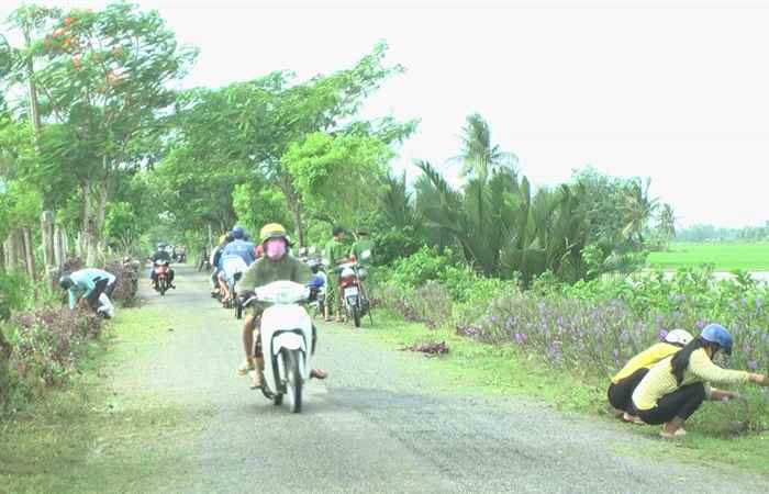 Mỹ Xuyên ra quân tổng vệ sinh môi trường