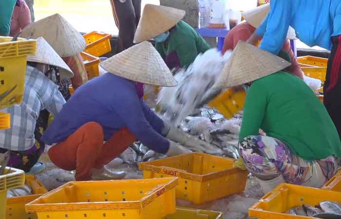 BTV Huyện ủy Trần Đề đánh giá tình hình hoạt động 6 tháng đầu năm 2022