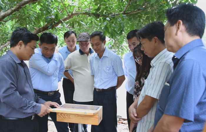 Tham quan mô hình làm ăn có hiệu quả tại Long Phú  