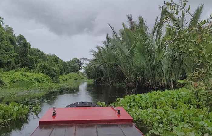 Mỹ Tú: Bí thư Huyện ủy khảo sát mô hình tại Khu di tích căn cứ Tỉnh uỷ rừng tràm Mỹ Phước
