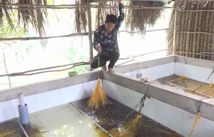 Mỹ Xuyên: Kkiểm tra tiến độ thi công các công trình giao thông và tình hình sản xuất nông nghiệp