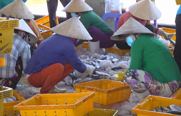 Ban Thường vụ Huyện ủy Trần Đề họp định kỳ tháng 10