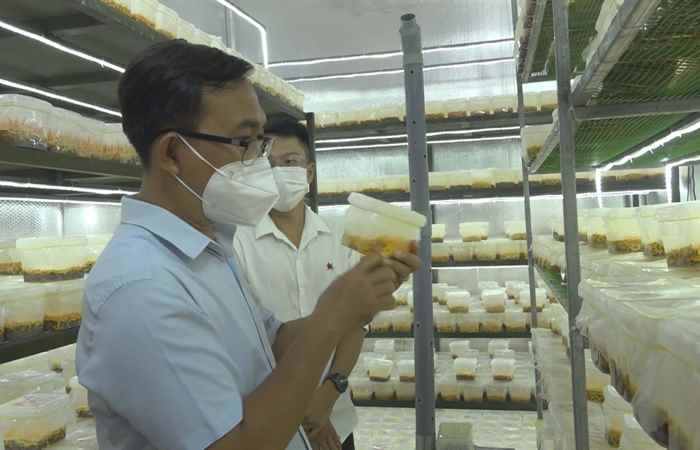 Long Phú có 15 sảm phẩm OCOP