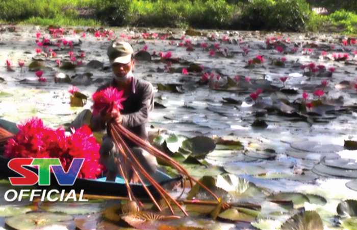 Tình người trong đại dịch bệnh