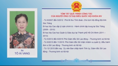 Tiểu sử tóm tắt và chương trình hành động của các ứng cử viên đại biểu Quốc Hội khóa XIV ở 3 đơn vị bầu cử