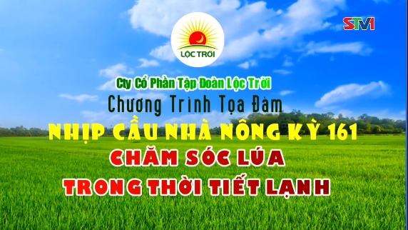 Chương trình tọa đàm Nhịp cầu Nhà Nông kỳ 161 - Chăm sóc lúa trong thời tiết lạnh 22-12-2016
