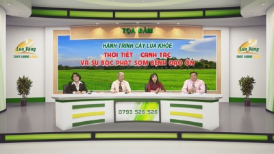 Tọa đàm công ty Lúa Vàng-Thời tiết canh tác và sự bộc phát sớm bệnh đạo ôn 26-06-2016