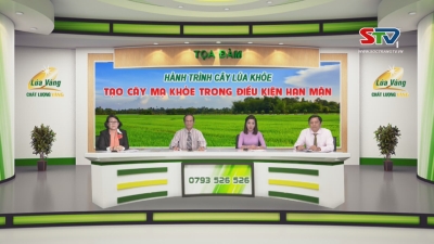 Tọa đàm Hành trình cây lúa khỏe - Tạo cây mạ khỏe trong điều kiện hạn mặn 30-05-2016