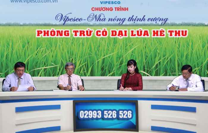 Tọa đàm Phòng trừ cỏ dại lúa hè thu 23-05-2019