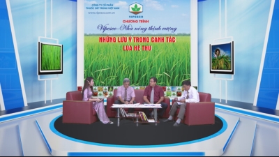 Tọa đàm VIPESCO-Những lưu ý trong canh tác lúa hè thu 19-05-2016