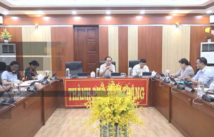 TP. Sóc Trăng xử lý cây xanh có nguy cơ đổ ngã trong mùa mưa bão