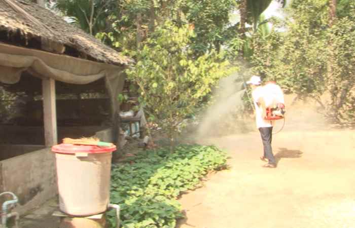 Trần Đề chủ động phòng chống bệnh dịch tả heo Châu Phi