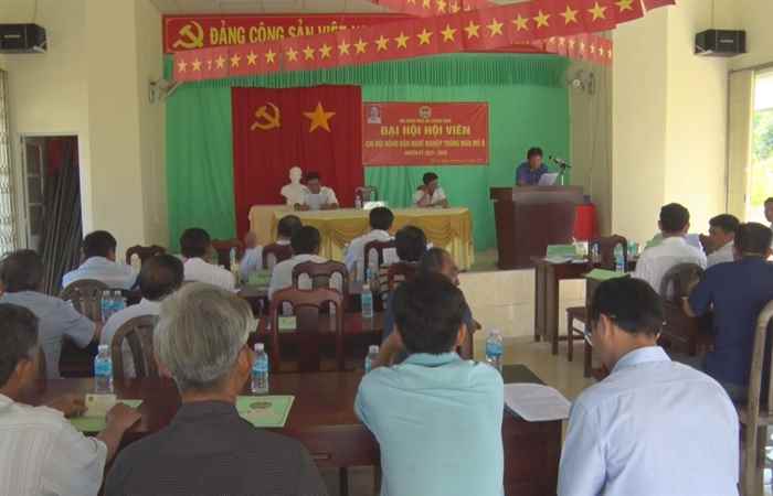 Trần Đề: Đại Hội Chi hội Nông dân nghề nghiệp trồng màu Mỏ Ó  