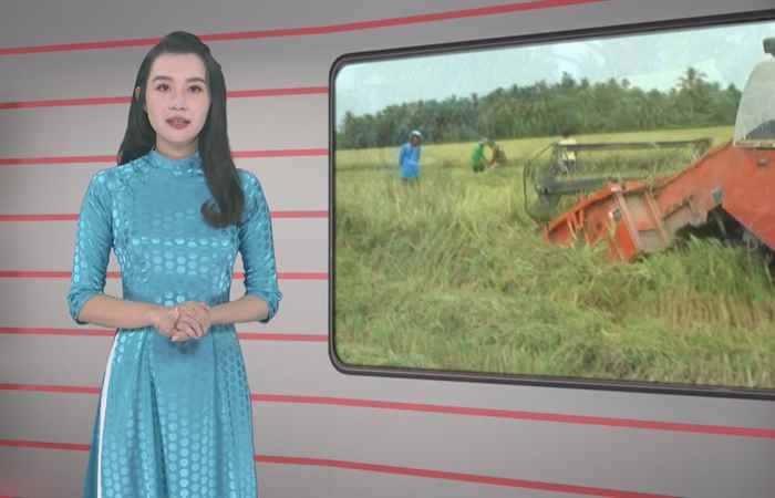 Trang tin địa phương (01-11-2020)