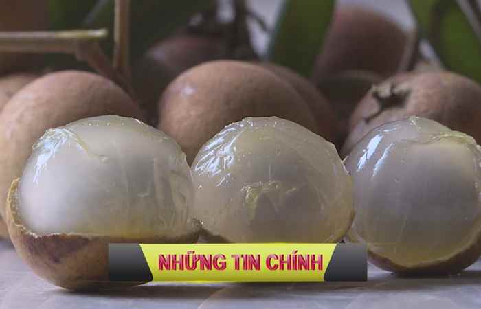 Trang tin địa phương 07-07-2019