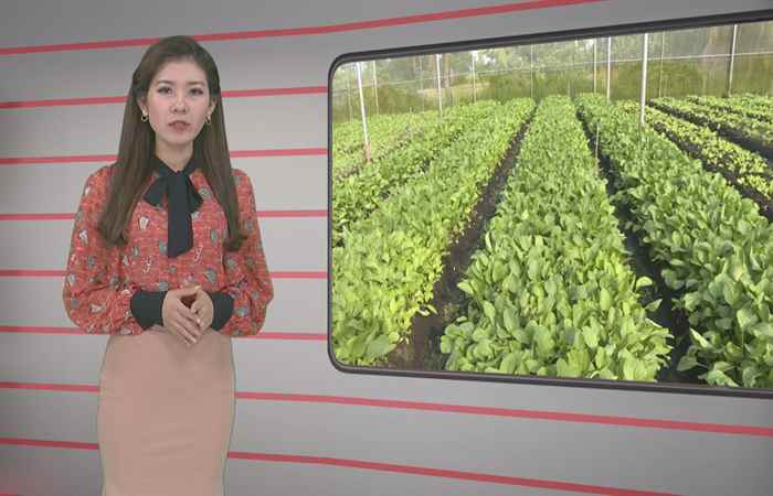 Trang tin địa phương 08-03-2020