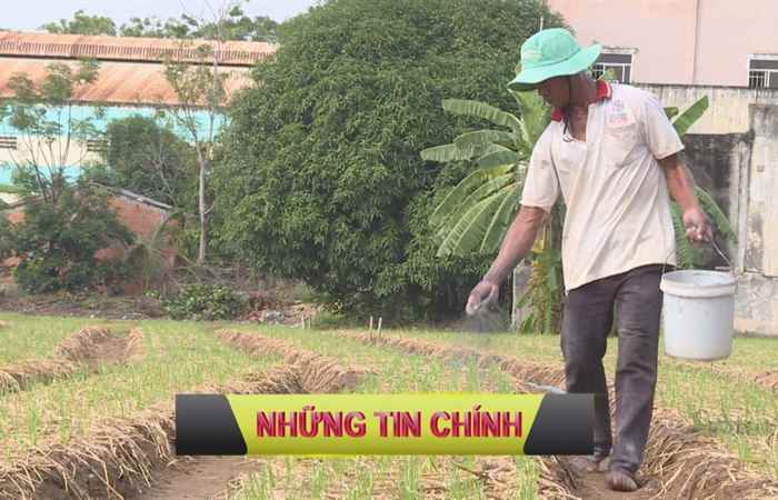 Trang tin địa phương 08-11-2020