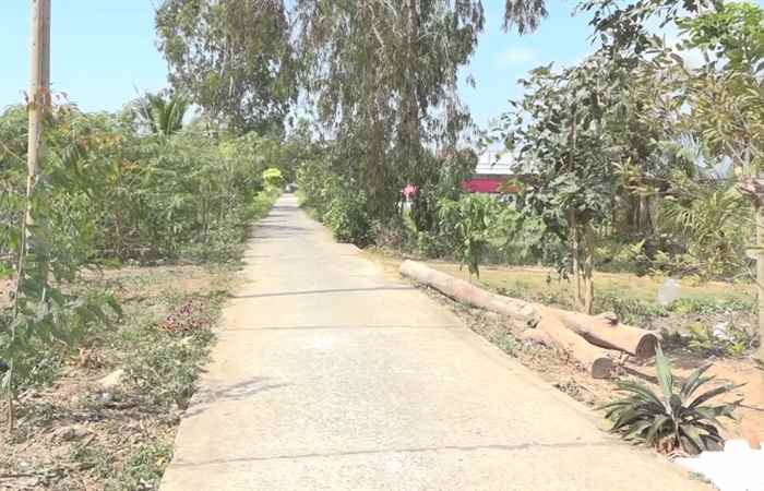 Trang tin địa phương huyện Long Phú - Trần Đề - Kế Sách - Mỹ Xuyên (09-02-2020)