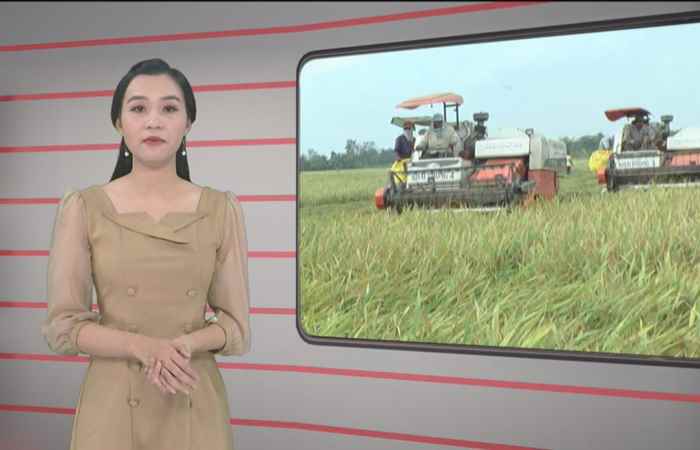 Trang tin địa phương 17-05-2020