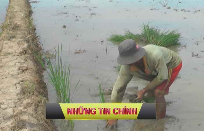 Trang tin địa phương 22-11-2020