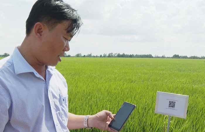 Trang tin địa phương các huyện Châu Thành, Cù Lao Dung, kế Sách và thị xã Ngã Năm (29-01-2023)