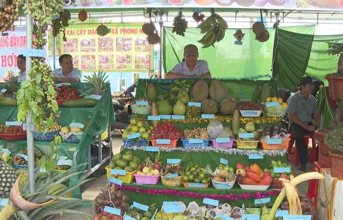 Trang tin địa phương các huyện: Kế Sách, Châu Thành,  Mỹ Tú và TP. Sóc Trăng (25-06-2023)