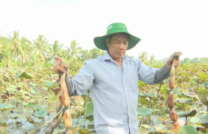 Trang tin địa phương các huyện Long Phú, Mỹ Xuyên, Châu Thành và thành phố Sóc Trăng (19-02-2023)