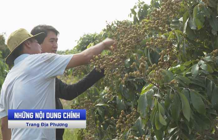 Trang tin địa phương các huyện Long Phú, Mỹ Tú, Cù Lao Dung và TX. Ngã Năm (05-03-2023)