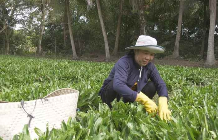Trang tin địa phương Huyện Châu Thành (10-01-2021)