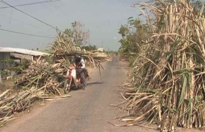 Trang tin địa phương Huyện Cù Lao Dung 01-03-2020