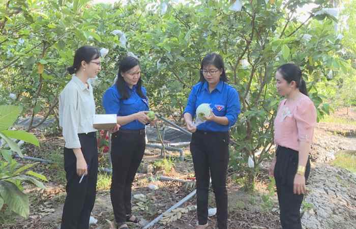 Trang tin địa phương huyện Cù Lao Dung (11-04-2021)