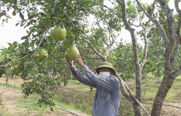 Trang tin địa phương huyện Cù Lao Dung (13-06-2021)