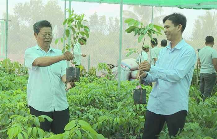 Trang tin địa phương Huyện Cù Lao Dung (19-07-2020)