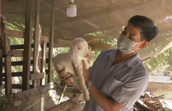Trang tin địa phương: Các huyện Cù Lao Dung, Kế Sách, Mỹ Tú và Trần Đề (10-04-2022)
