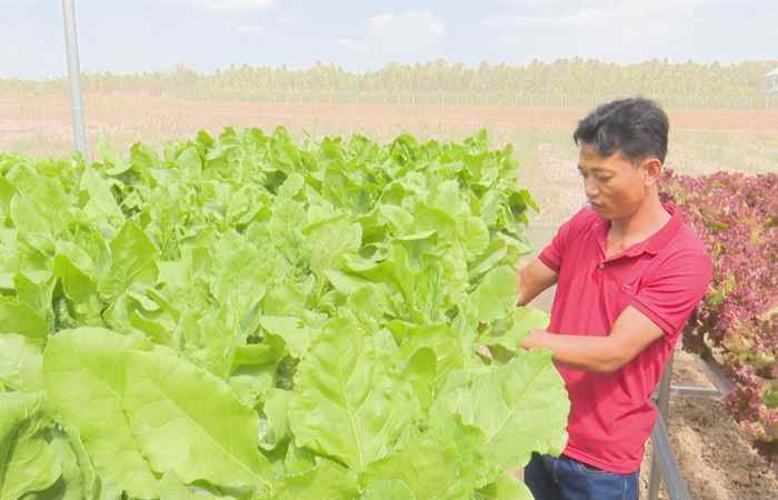 Trang tin địa phương Huyện Long Phú (03-01-2021)